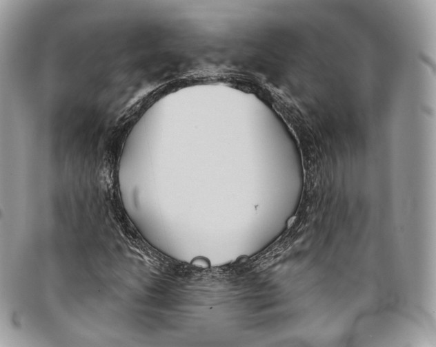 X0000096151206200802081403