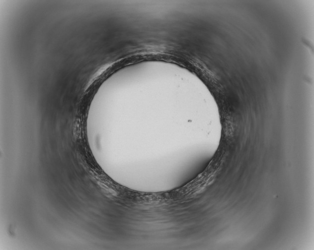 X0000096151208200802081403