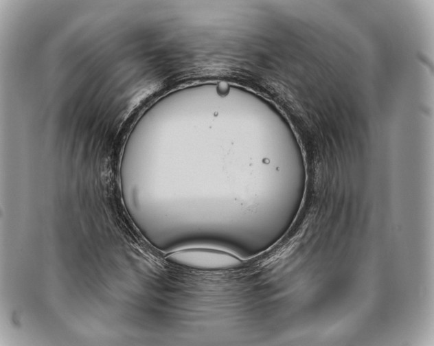 X0000096151210200802081403