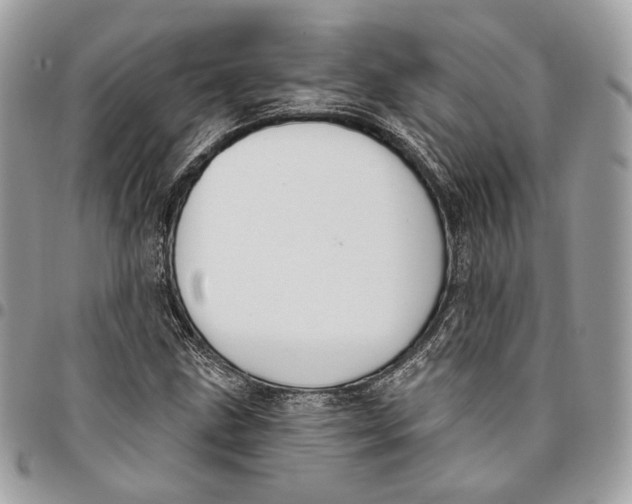 X0000096151211200802081403