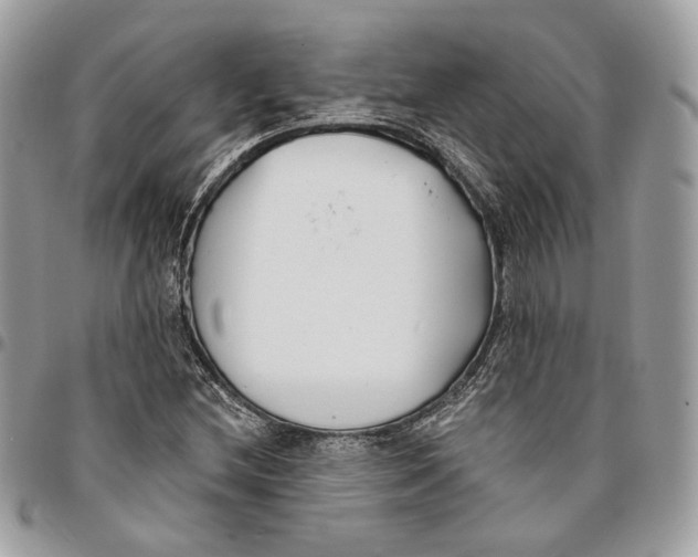 X0000096151212200802081403