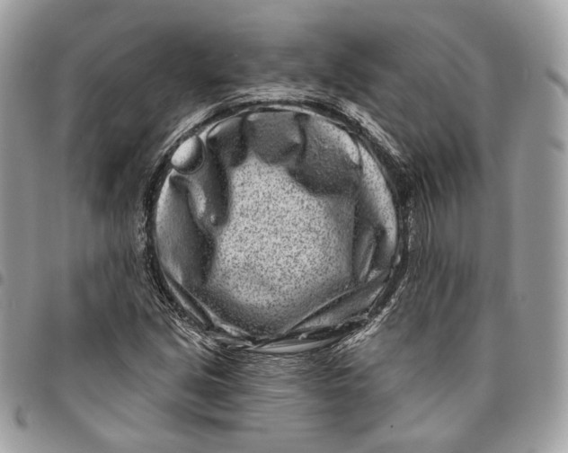 X0000096151213200802081403