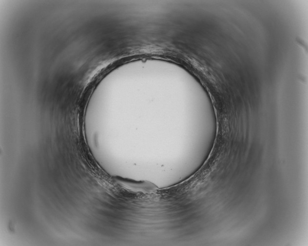 X0000096151214200802081403