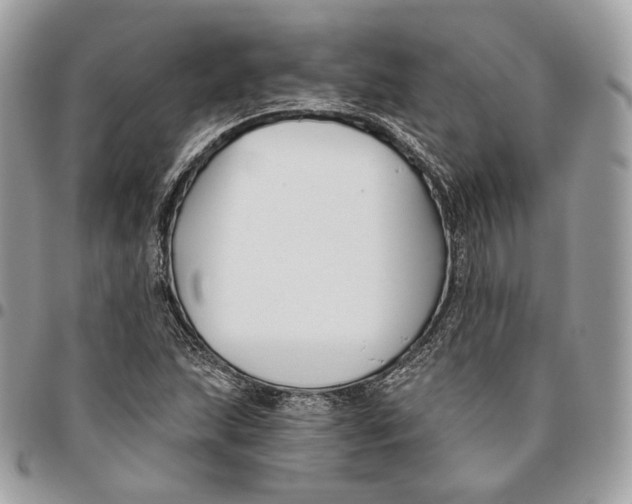 X0000096151215200802081403