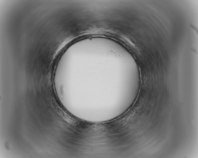 X0000096151216200802081403