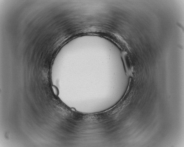 X0000096151217200802081403