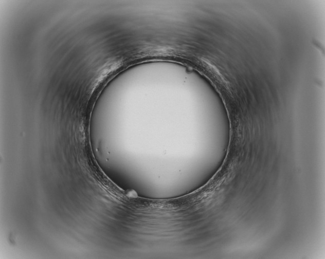 X0000096151218200802081403