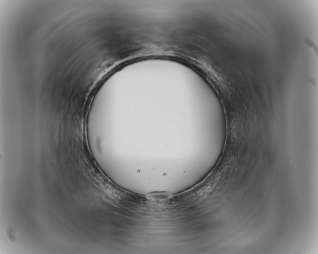 X0000096151220200802081403