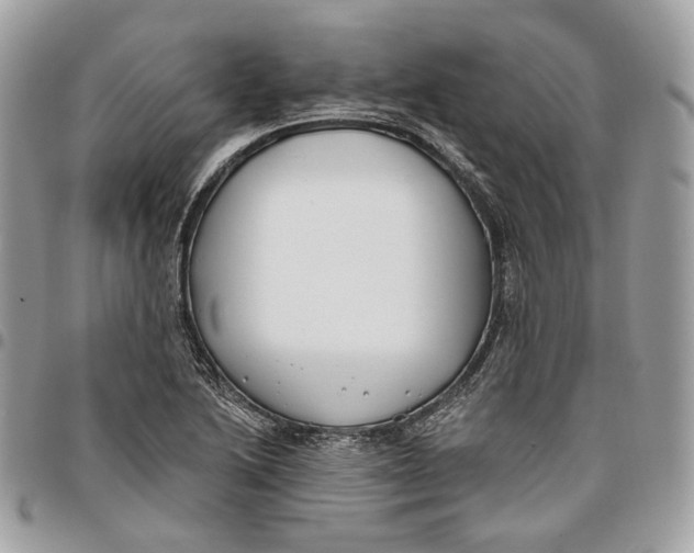 X0000096151222200802081403