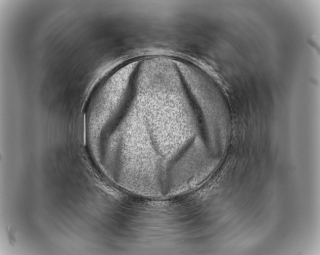 X0000096151223200802081403