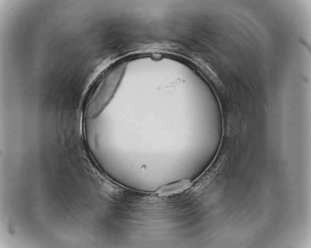 X0000096151224200802081403