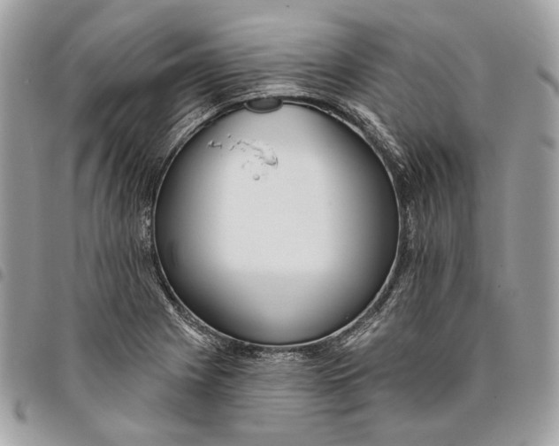 X0000096151225200802081403