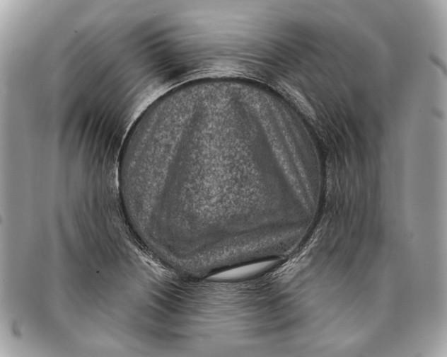 X0000096151226200802081404