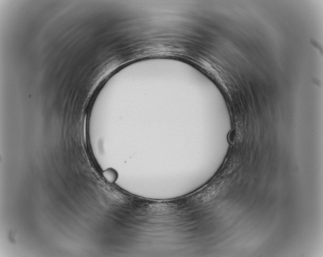 X0000096151227200802081404