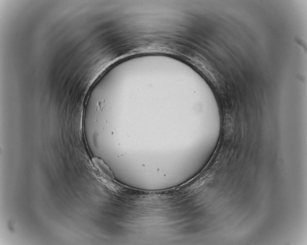 X0000096151228200802081404