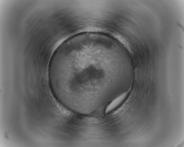 X0000096151229200802081404