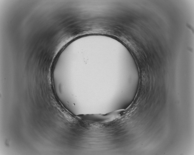 X0000096151230200802081404