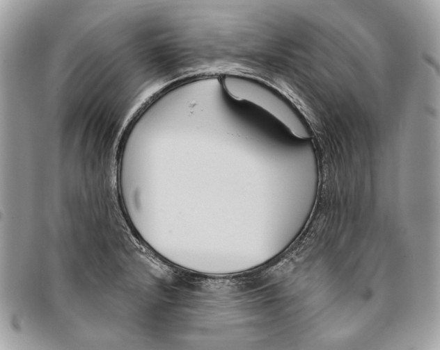 X0000096151232200802081404