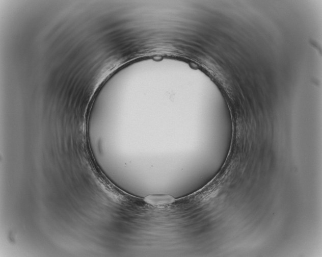 X0000096151234200802081404