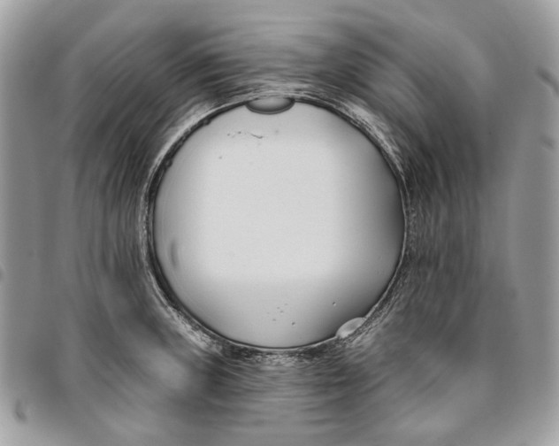 X0000096151235200802081404