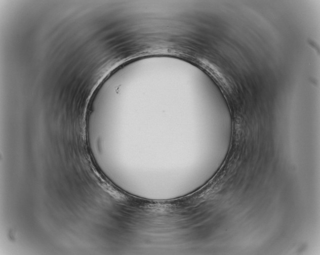 X0000096151236200802081404