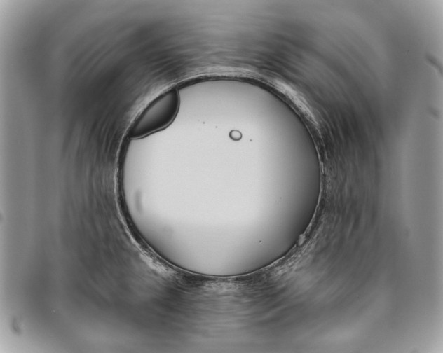 X0000096151237200802081404