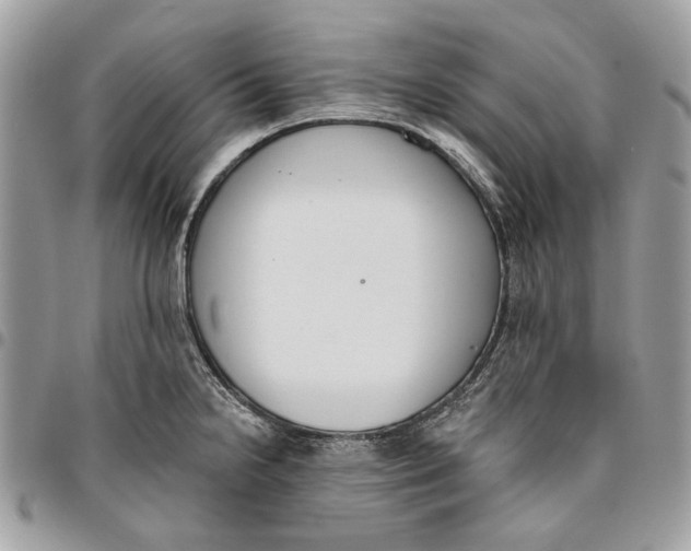 X0000096151238200802081404