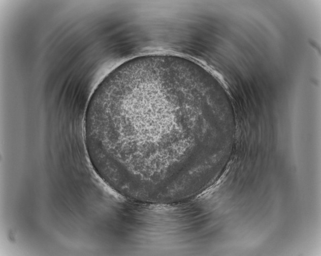 X0000096151239200802081404