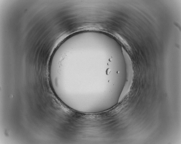 X0000096151240200802081404