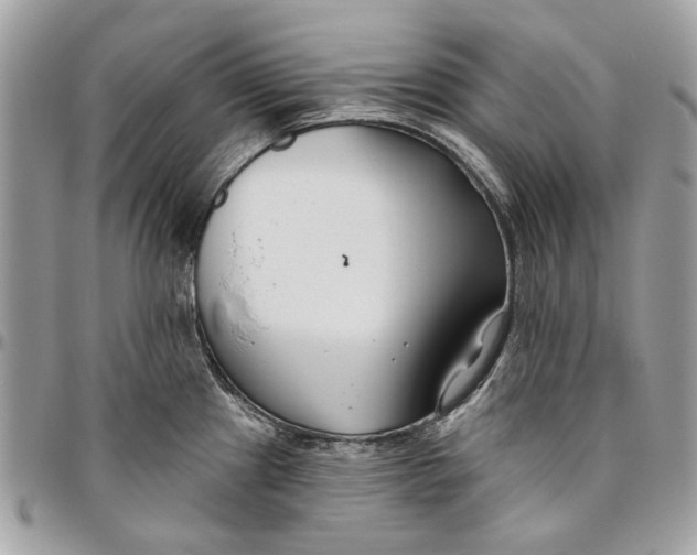 X0000096151241200802081404