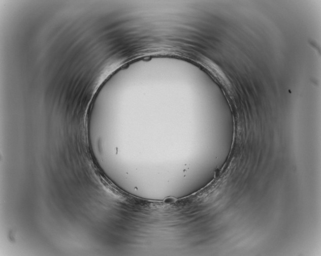 X0000096151242200802081404