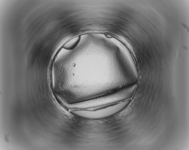 X0000096151243200802081404