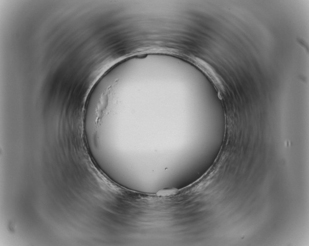 X0000096151244200802081404