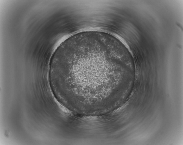 X0000096151245200802081404