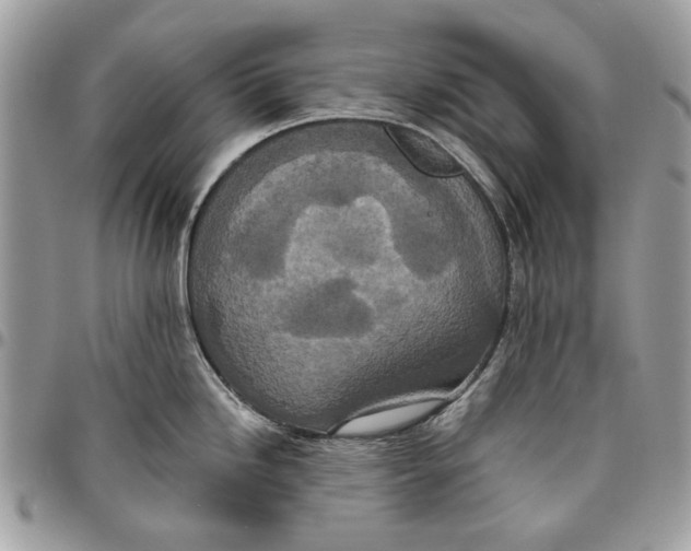 X0000096151246200802081404