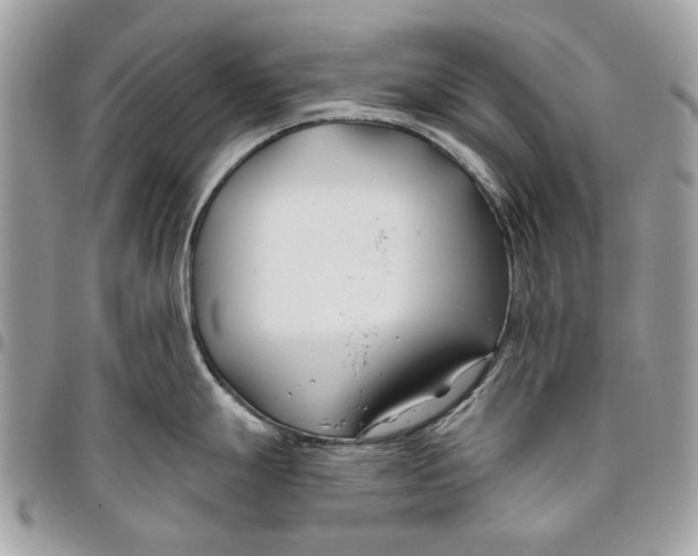 X0000096151247200802081404