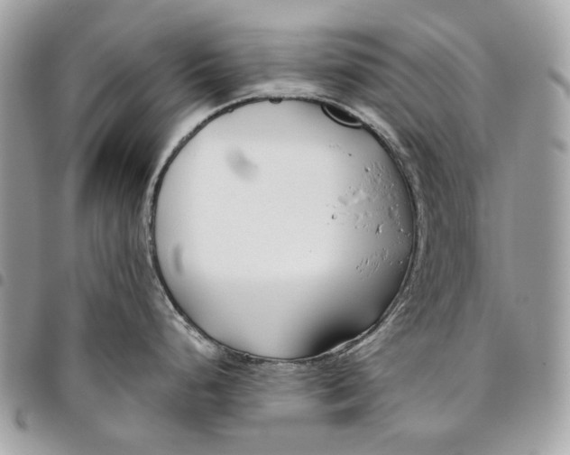 X0000096151248200802081404