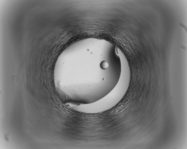 X0000096151249200802081403