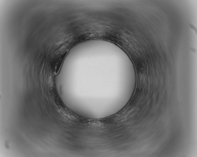 X0000096151250200802081403