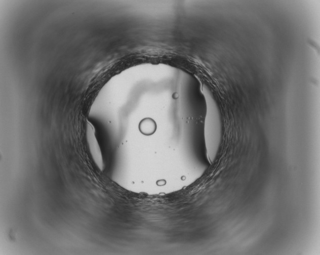 X0000096151253200802081403