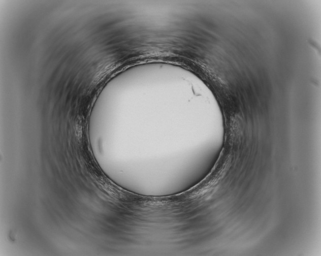 X0000096151257200802081403