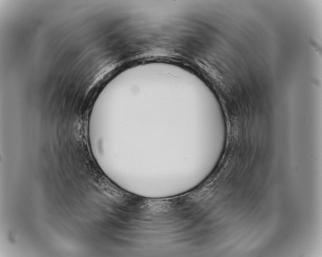 X0000096151258200802081403