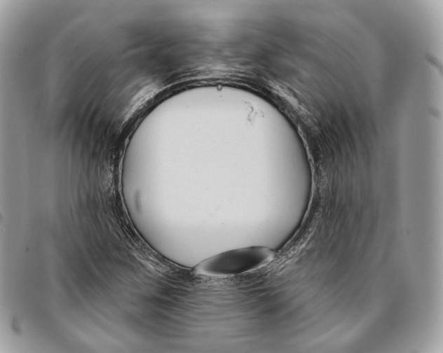 X0000096151259200802081403