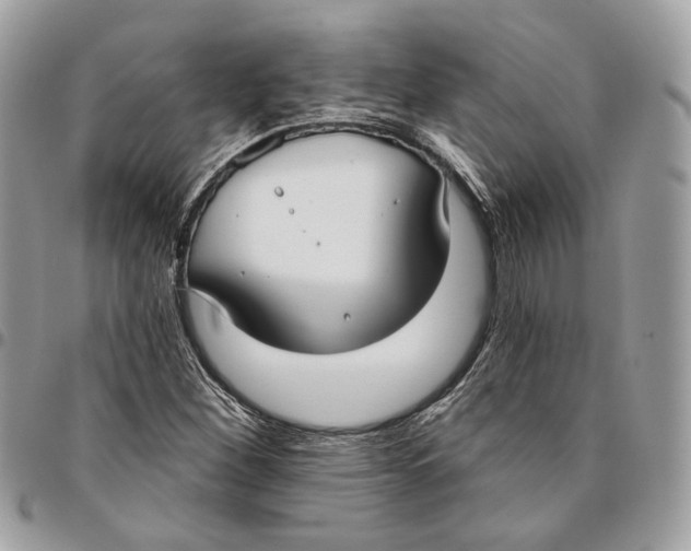 X0000096151260200802081403