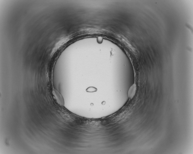 X0000096151261200802081403