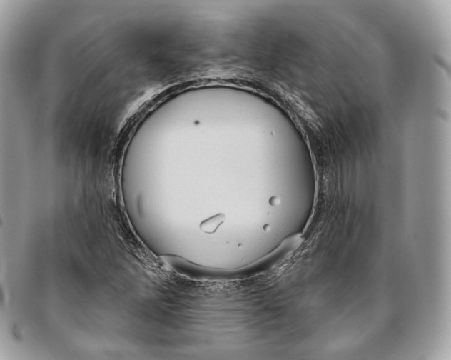 X0000096151262200802081403