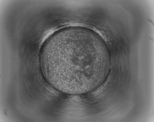 X0000096151263200802081403