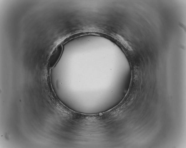 X0000096151264200802081403