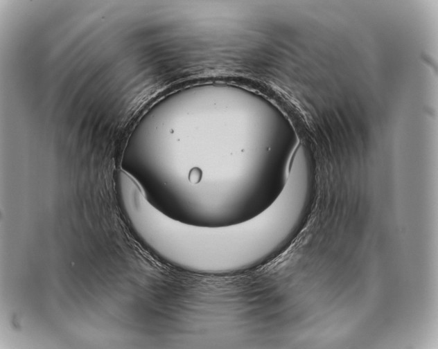 X0000096151265200802081403