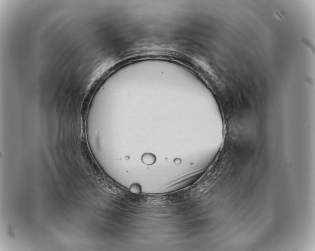 X0000096151267200802081403